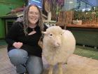 With LuLu the sheep at a café!