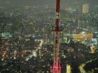 A view of the city from N Seoul Tower (Namsan Tower)