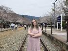 Standing between the railroad tracks at Gyeonghwa Station during cherry blossom season