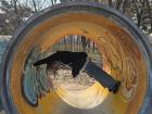 A funny photo my friend took of me at Seoul Forest Park