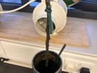 Learning how to Graft trees in my Horticulture Class