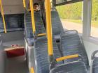 Here is what the inside of the public buses look like!
