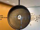 WFP Noble Prize