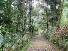 The beautiful trees and paths from the lodge we visited!