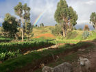rainbow over the hills 