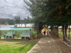 picture of school from the entrance