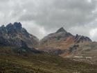 Vicuñas from a distance