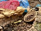 After centuries, pachamanca is still a favorite among locals