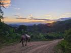 Sunset on road into town with donkey
