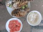 A meal I tried in Lobitos of fried fish, rice, and tomato salad