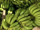 Green plantains; green plantains are just unripened plantains that aren't as sweet and a little tougher than yellow plantains