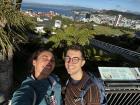 The view of Wellington from the Wellington Botanical Garden