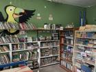 This is the library at my school... Can you guess the animal on the wall? 