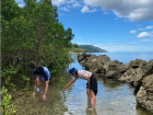 My friends exploring the mangroves along Buruanga's coastline