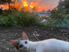 My roommate and I always enjoy watching beautiful sunsets together!