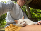 Hanging out with Nang, Julia's very friendly cat