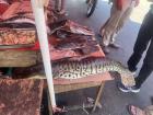 Doncella, or amazonian catfish, a staple at fish markets in the Peruvian jungle towns