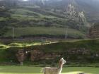 A llama from another part of my trip to help spot the differences