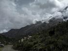 The road leading up to where we found the alpacas