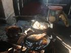 This is "mojarra" being fried for breakfast--it was caught that morning!