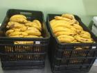 We eat guineos every other day for school lunches