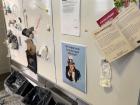 Three categories showing how students separate their trash