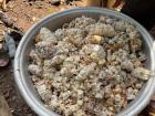 This giant bowl of cocoa seeds took over an hour to fill