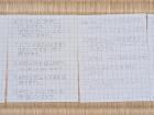 These are what the field notes questions look like when translated and written in Japanese