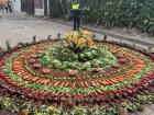 An Alfombra Made Completely of Produce and Plants