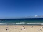 Took the bus to the beach!