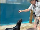 Seal in training :)