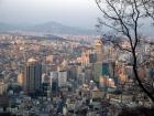 An aerial view of Seoul. This what I imagine the view these birds see.