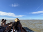 The boat ride in Valencia where we saw where rice is harvested