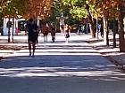 Many people here like to walk just for the views—Retiro Park has a lot of good places to watch the leaves changing colors or find fun activities to do
