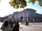You must visit the Buckingham Palace if you ever find yourself in London!