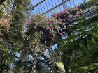 A pretty botanic garden in France where many different plants from different countries can be found