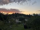 The Rose Garden is a place where people come together to relax and talk