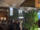 A fun backyard space of a restaurant on First Thursdays