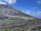 Fynbos shrubland by the mountain