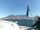 View of Cape Town from the water