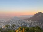 The nature and above view of Cape Town from the top of Lion's Head