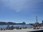 Sunbathing and swimming in the Københavns Havn (Port of Copenhagen)