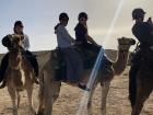 Finally, I was able to ride a camel in the desert!