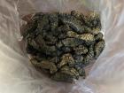 Mopane worms in a bag