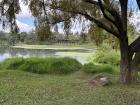 This is a park called "Las Fuentes" near where I live