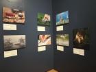 These are the wildlife photos I saw in a museum