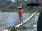 Crossing the river by balancing on this wooden plank was the only way to get across