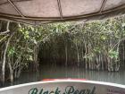 Going deeper into the backwaters 