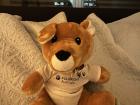 A kangaroo stuffed animal