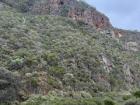 The Australian Outback